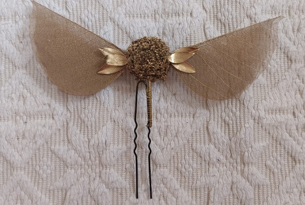 Quando la Creatività Incontra l’Emozione